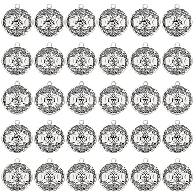 Тибетский стиль полые литые подвески, без свинца и без кадмия, плоская круглая богиня тройной луны, языческие украшения