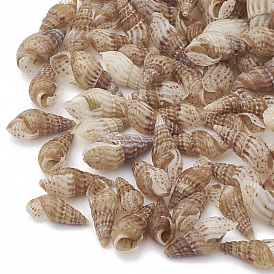 Sea Shell Beads, Undrilled/No Hole Beads