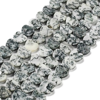Natural Tree Agate Beads Strands, Heart