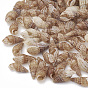 Sea Shell Beads, Undrilled/No Hole Beads
