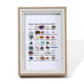 Sammlungen von Nuggets aus natürlichen Edelsteinen, Fotorahmen-Display-Dekoration, für den erdwissenschaftlichen Unterricht
