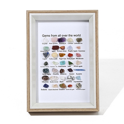 Natural Gemstones Nuggets Collections, Photo Frame Display Decoration, for Earth Science Teaching