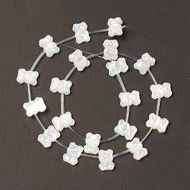 Natural White Shell Mother of Pearl Shell Beads, Bear