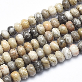 Natural Fossil Coral Beads Strands, Rondelle