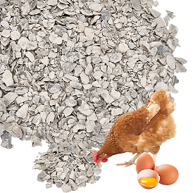 1000 г раковин устриц для наполнения ваз в домашних условиях, поделки искусств и ремесел