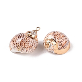 Natural Sea Shell Pendants, Shell Shaped Charms with Golden Tone Iron Loops