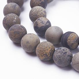 Natural Dendritic Jasper Beads Strands, Frosted, Round