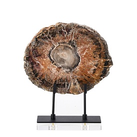 Натуральный окаменевший срез древесины на черной железной подставке, деревенский декор для дома