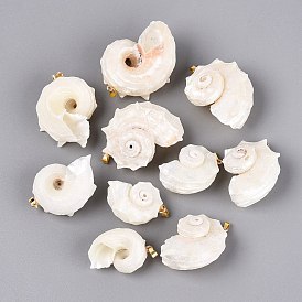 Iron & Natural Spiral Shell Pendants, Conch Charms, Light Gold