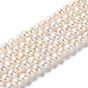 Natural Cultured Freshwater Pearl Beads Strands, Potato, Grade 4A
