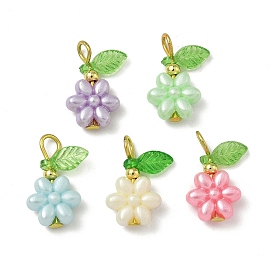 Акриловые подвески, с железными петлями, 