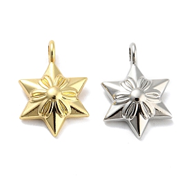 Alloy Pendants, Lead Free & Cadmium Free, Star of David with Flower Pattern