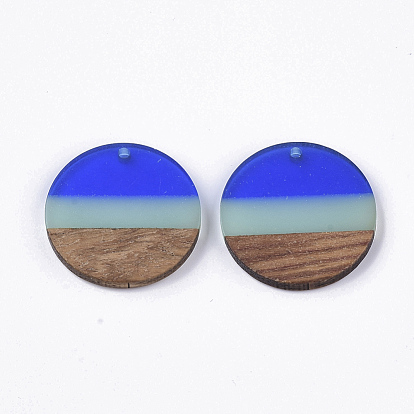 Two Tone Transparent Resin & Walnut Wood Pendants, Flat Round
