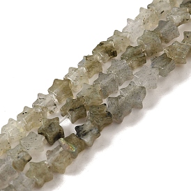 Natural Labradorite Beads Strands, Star