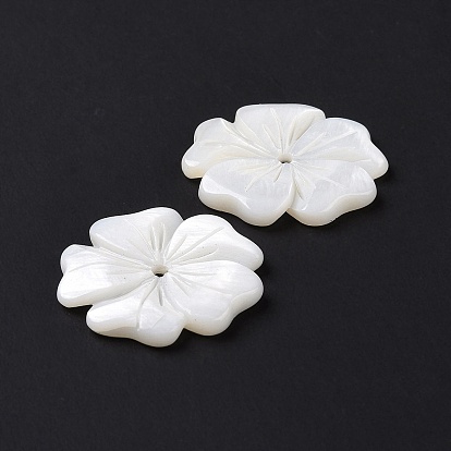 Natural White Shell Beads, Freshwater Shell Beads, Flower