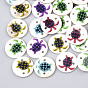 Printed Freshwater Shell Links Connectors, Flat Round
