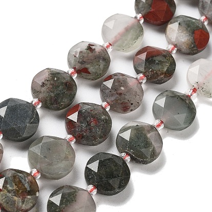 Natural African Bloodstone Beads Strands, with Seed Beads, Faceted Hexagonal Cut, Flat Round