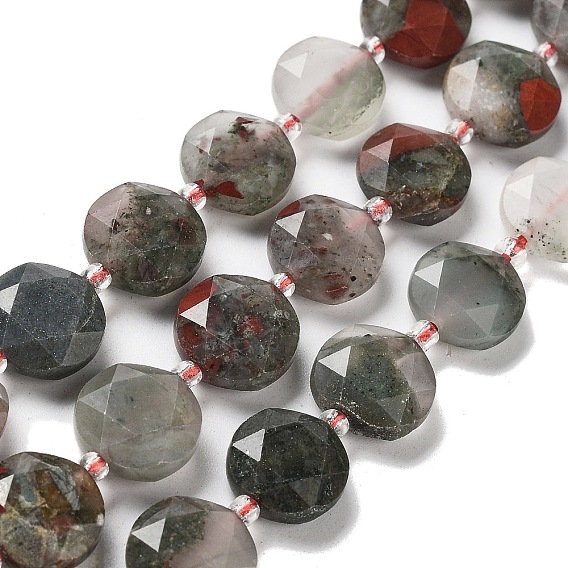 Natural African Bloodstone Beads Strands, with Seed Beads, Faceted Hexagonal Cut, Flat Round