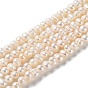 Natural Cultured Freshwater Pearl Beads Strands, Potato, Grade A+