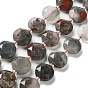 Natural African Bloodstone Beads Strands, with Seed Beads, Faceted Hexagonal Cut, Flat Round