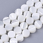 Trochus Shell Beads Strands, Flat Round