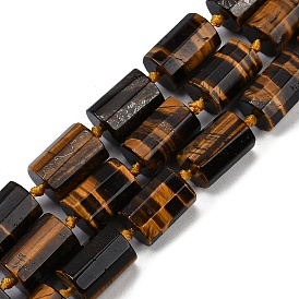 Natural Tiger Eye Beads Strands, Faceted, Column