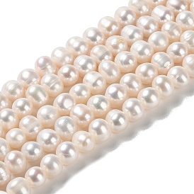 Natural Cultured Freshwater Pearl Beads Strands, Potato, Grade 3A+