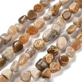 Natural Fossil Coral Beads Strands, Nuggets, Tumbled Stone