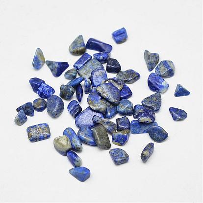 Natural Lapis Lazuli Chip Beads, No Hole