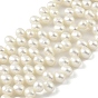 Natural Cultured Freshwater Pearl Beads Strands, Top Drilled, Rice, Grade 6A
