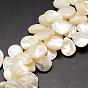 Natural Trochid Shell/Trochus Shell Beads Strands, Top Drilled Beads, Teardrop