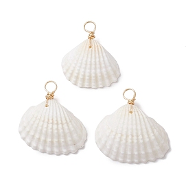 Natural Ark Shell Pendants, Shell Shape Charms with Copper Wire Loops