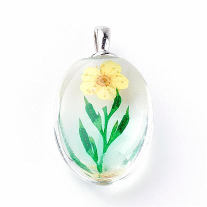 Glass Pendants, with Dried Flower Inside, Oval, Platinum