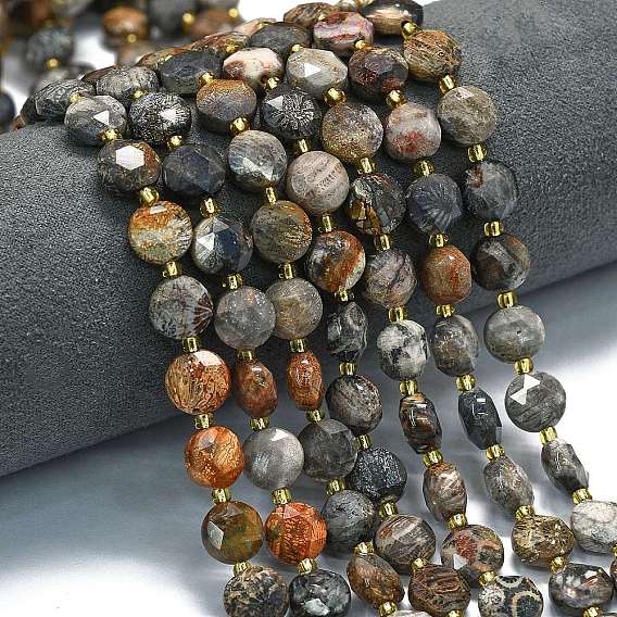 Природные окаменелые коралловые бусы пряди, окрашенная и подогревом, граненый шестиугольный разрез, плоско-круглые, с бисером