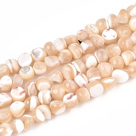 Натуральная оболочка из трохидных оболочек, самородки