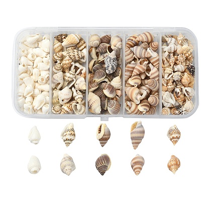 5 Styles Mixed Natural Shell Beads, No Hole, Mixed Shapes