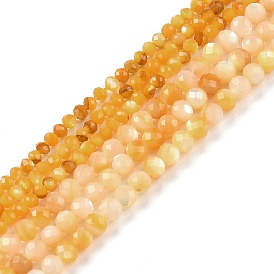Natural Yellow Shell Beads Strands, Faceted, Round