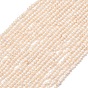 Natural Cultured Freshwater Pearl Beads Strands, Potato, Grade A+