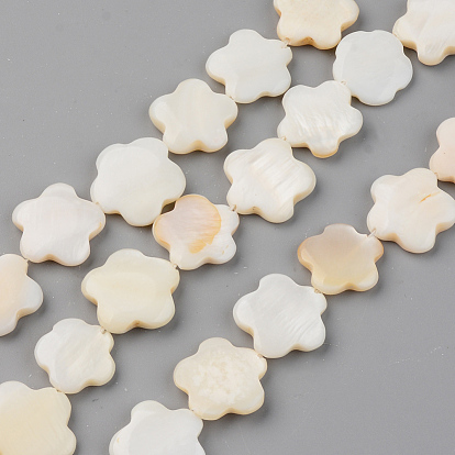 Eau douce naturelle de coquillage perles brins, fleur
