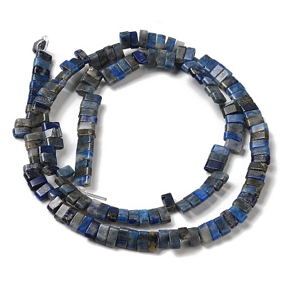Natural Lapis Lazuli Beads Strands, 2-Hole, Rectangle