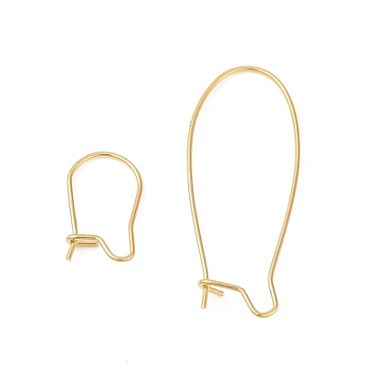 304 Выводы из нержавеющей стали серьги обруча, провод почки