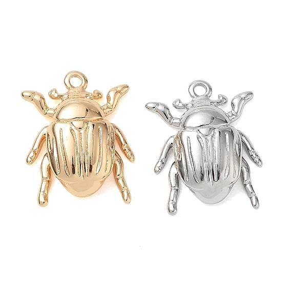 Латунь прелести, жук прелести