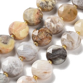 Natural Crazy Agate Beads Strands, with Seed Beads, Faceted Hexagonal Cut, Flat Round
