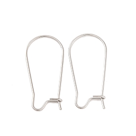 316 Surgical Stainless Steel Hook Earrings