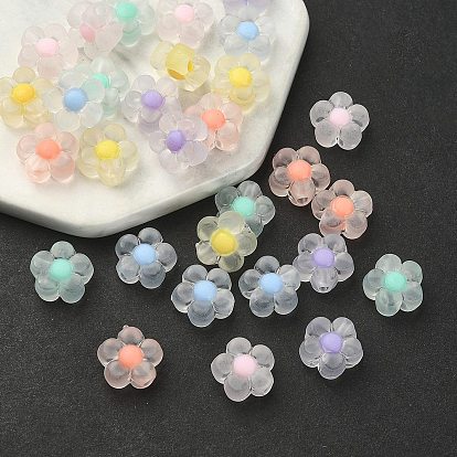 30Pcs 6 Colors Transparent Acrylic Beads, Frosted, Bead in Bead, Flower