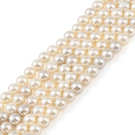 Electroplated Natural Freshwater Shell Beads Strands, Round