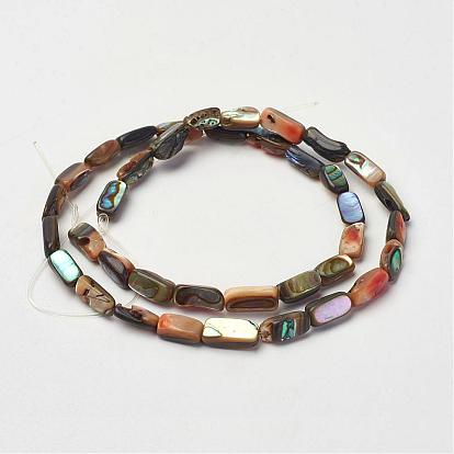 Natural Paua Shell Beads Strands, Rectangle