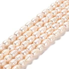 Natural Cultured Freshwater Pearl Beads Strands, Rice, Grade AB