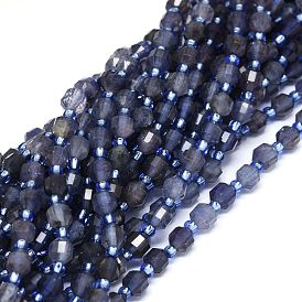Perles naturelles Iolite brins, avec des perles de rocaille, facette, Toupie, perles de prisme à double pointe