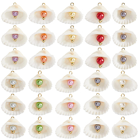 30 шт. подвески из натуральных ракушек и искусственного жемчуга, подвески в форме ракушки с железными петлями, разноцветные